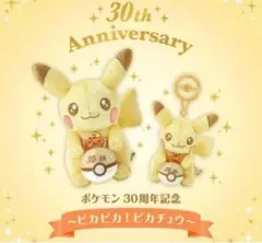 激レア　ピカチュウ 2007年 ぬいぐるみ ポケモンだいすきクラブ 当選品 激レア ピカチュウ 2007年 ぬいぐるみ ポケモンだいすきクラブ 当選品