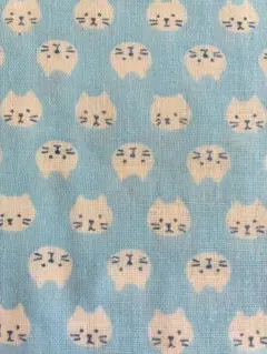 Item thumbnail for item a9def44c-20d5-4d9f-9a1b-3fd730b16125