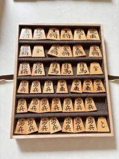 中村様専用＊金井静山作盛上駒「虎班」水無瀬御蔵島黄楊根杢 - メルカリ