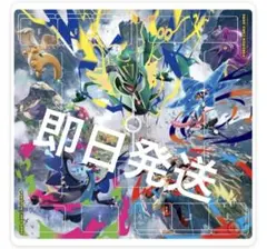 ラバープレイマット フルサイズ 頂上決戦！メガレックウザ 2セット ポケモンカードゲーム ラバープレイマット フルサイズ 頂上決戦！メガ
