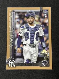 Item thumbnail for item ee10ee9f-fabd-469c-a027-0b41f1293559