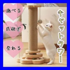 Item thumbnail for item 465cdc76-6664-4502-ab7f-d71b66242649