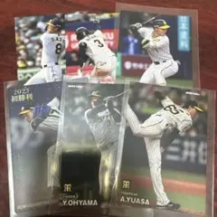 阪神タイガース カード