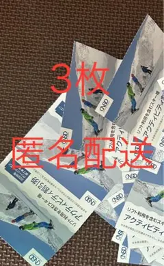 3枚 日本駐車場開発　株主優待 リフト利用　スキー場　アクティビティ割引券