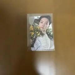 SEVENTEEN セブチ ホシ トレカ HOSHI