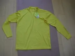 Item thumbnail for item fdff0f51-5fea-4caf-bbde-8f1cb135791e