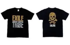 Item thumbnail for item 0135441c-65a5-44cf-a2e7-5ccac57ee6f6