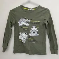 恐竜と古代生物のイラストTシャツ