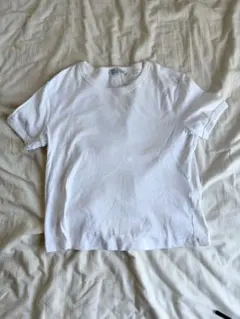 ZARA クルーネック Tシャツ ホワイト L