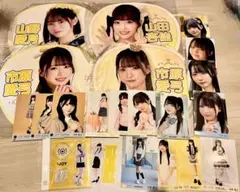 Item thumbnail for item 31a9d4ed-8e1f-46d0-b471-e92d145a7dc9