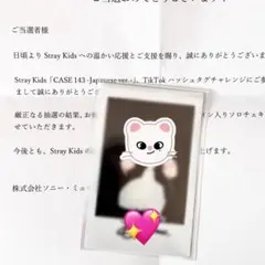 『期間限定値下げ』Stray Kids スキズ ハン・ジソン直筆サイン入りチェキ Straykids ハン 直筆 サイン チェキ