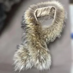 Item thumbnail for item 3d060862-e61a-4b92-9636-15f5f8da5720