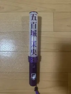 Item thumbnail for item 5c3b6b0f-328f-43e0-96c3-2d407a743fad