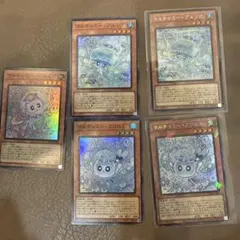 マルチミニ・グルリア＆クフロス セット