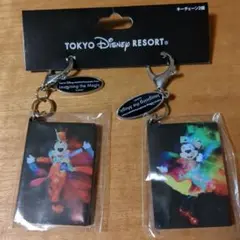ディズニーリゾート イマジニング ザ マジック キーチェーン2個