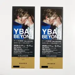 国立新美術館　YBA & BEYOND 世界を変えた90s英国アート　2枚