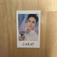 SEVENTEEN セブチ YAKUSOKU インスタントフォト バーノン