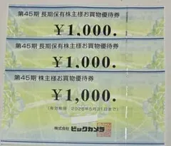 ビックカメラ 株主優待券 3枚セット