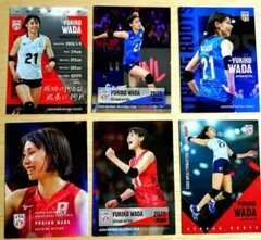 和田由紀子　バレーボール女子　日本代表2025 レギュラー　女子バレー　カード