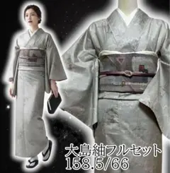 2026年最新】大島紬 帯の人気アイテム - メルカリ