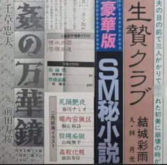 絶版】秘小説96年5月 結城彩雨 香山洋一 前田寿按 楡畑雄二 椋陽児 他 