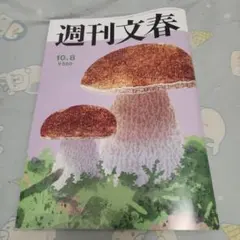 週刊文春 10月8日号 石原さとみ