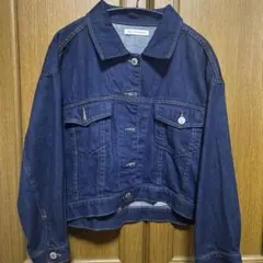 AZUL BY MOUSSY デニムシャツ デニムジャケット