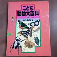 兒童動物大百科 10 昆蟲與蜘蛛 00-12