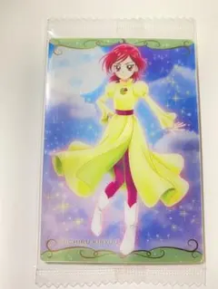 プリキュア カード ウエハース 第8弾