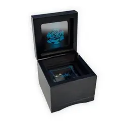 新品未開封】Ado 5th Anniversary Adotomy オルゴール - メルカリ