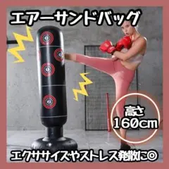 【新品】エアー サンドバック 160cm ボクシング キック エクササイズ