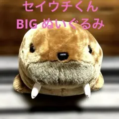 ALFA アルファ セイウチ ぬいぐるみ 大きめ - メルカリ
