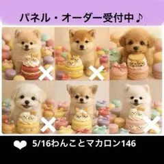 オーダーページ　5/16わんことマカロン146 パネル　ハンドメイド