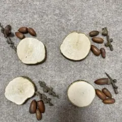 どんぐりアート　クラフトセット