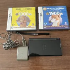 訳あり ニンテンドーDS lite & ソフト