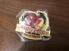 2025年最新】b'z into freeの人気アイテム - メルカリ