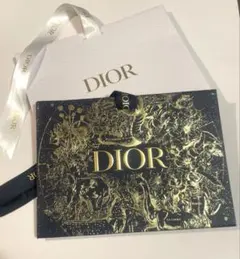 CHRISTIAN DIOR ショッパー　2枚セット
