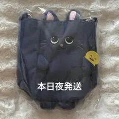 RIIZE ウォンビン ペンライトケース