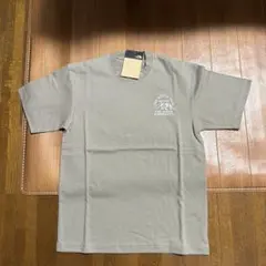 ノースフェイス 半袖TシャツファインアルパインマウンテンティSサイズMR新品