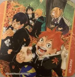 ☆ ハイキュー!!　アートコースター第1弾　烏野高校　集合①　日向翔陽　影山飛雄