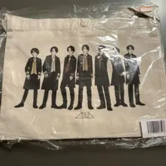 Item thumbnail for item 25c82a8c-3f8b-4272-ad3d-90b0250c6393