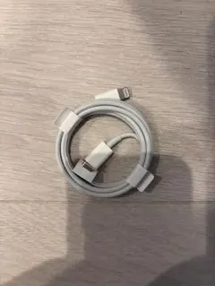 タイプc ケーブル ライトニング