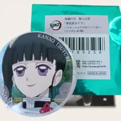 鬼滅の刃 隊士百景 栗花落カナヲ エモーショナル缶バッジ 5 - メルカリ