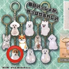 犬　毛入れ　キーホルダー　コーギー　ガチャガチャ