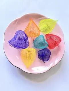 透かしほおずき　カラフル　虹色セットA 網ほおずき　スケルトンほおずき　法月