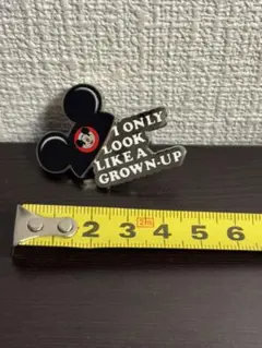 ディズニー ミッキー ピンバッジ 海外ディズニー