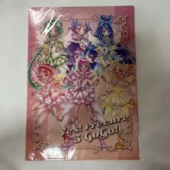 匿名配送Yes!プリキュア5GoGo! フレッシュプリキュア!　クリアファイル