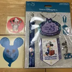 ジュビリーバッジセット バケパ特典 非売品 ディズニーシー25周年①