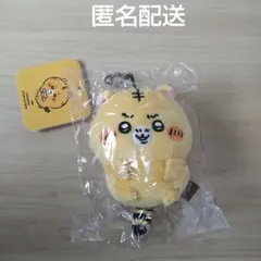 Item thumbnail for item 4fdcf811-c3d8-497a-8f5b-e05cb2cc0fae