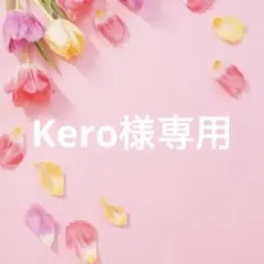Kero様専用